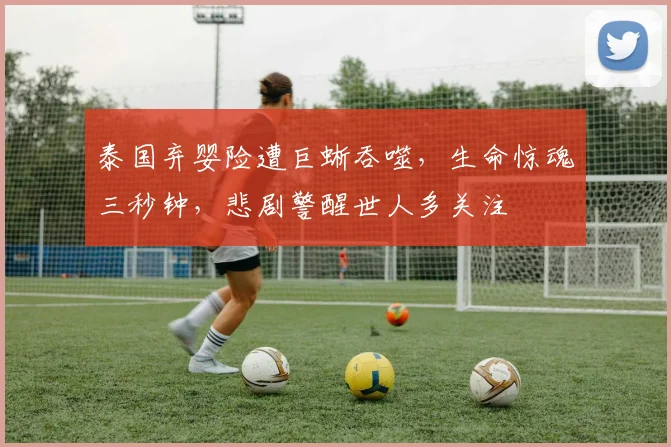 泰国弃婴险遭巨蜥吞噬，生命惊魂三秒钟，悲剧警醒世人多关注