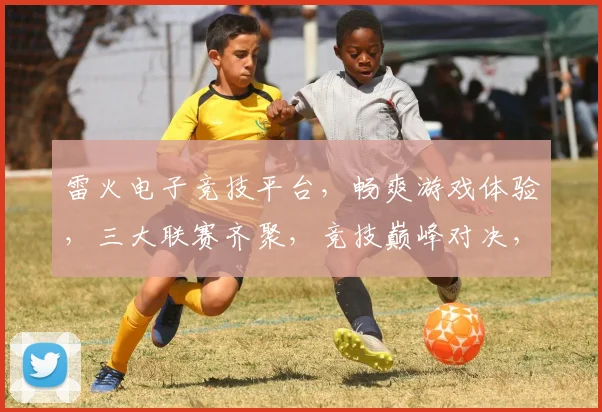 雷火电子竞技平台，畅爽游戏体验，三大联赛齐聚，竞技巅峰对决，邀您共赏