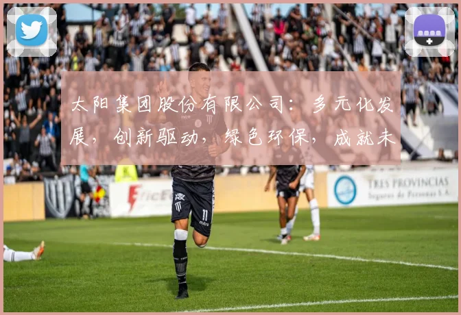 太阳集团股份有限公司：多元化发展，创新驱动，绿色环保，成就未来，行业领军者。