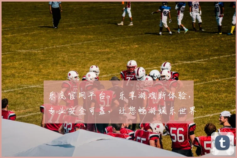 乐虎官网平台，乐享游戏新体验，专业安全可靠，让您畅游娱乐世界，尽在乐虎66