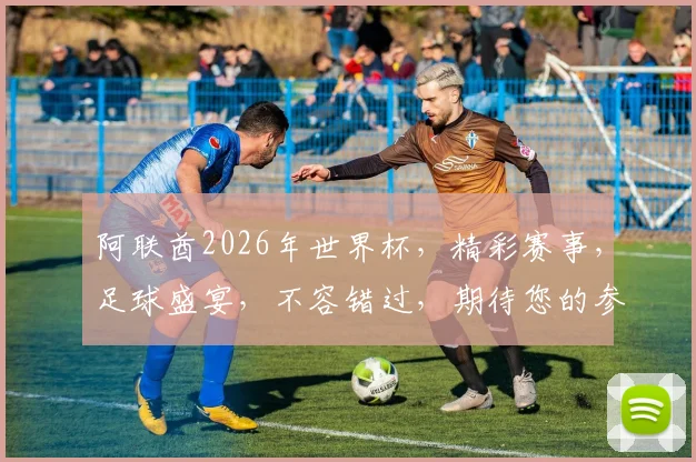 阿联酋2026年世界杯，精彩赛事，足球盛宴，不容错过，期待您的参与